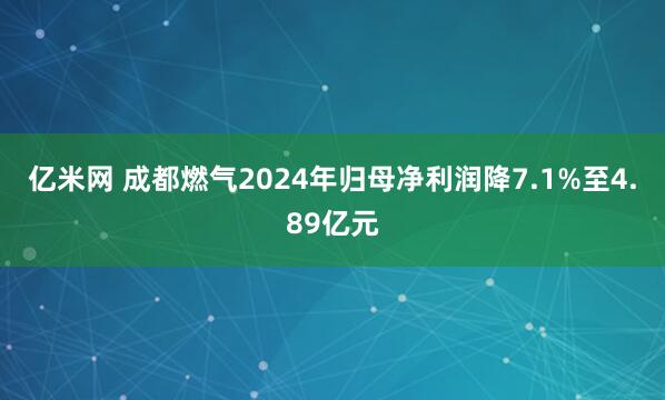 亿米网 成都燃气2024年归母净利润降7.1%至4.89亿元