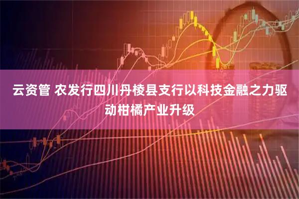 云资管 农发行四川丹棱县支行以科技金融之力驱动柑橘产业升级